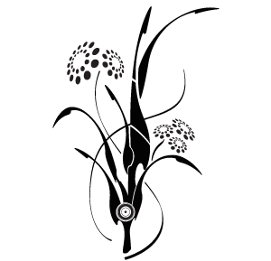 Fleurs2